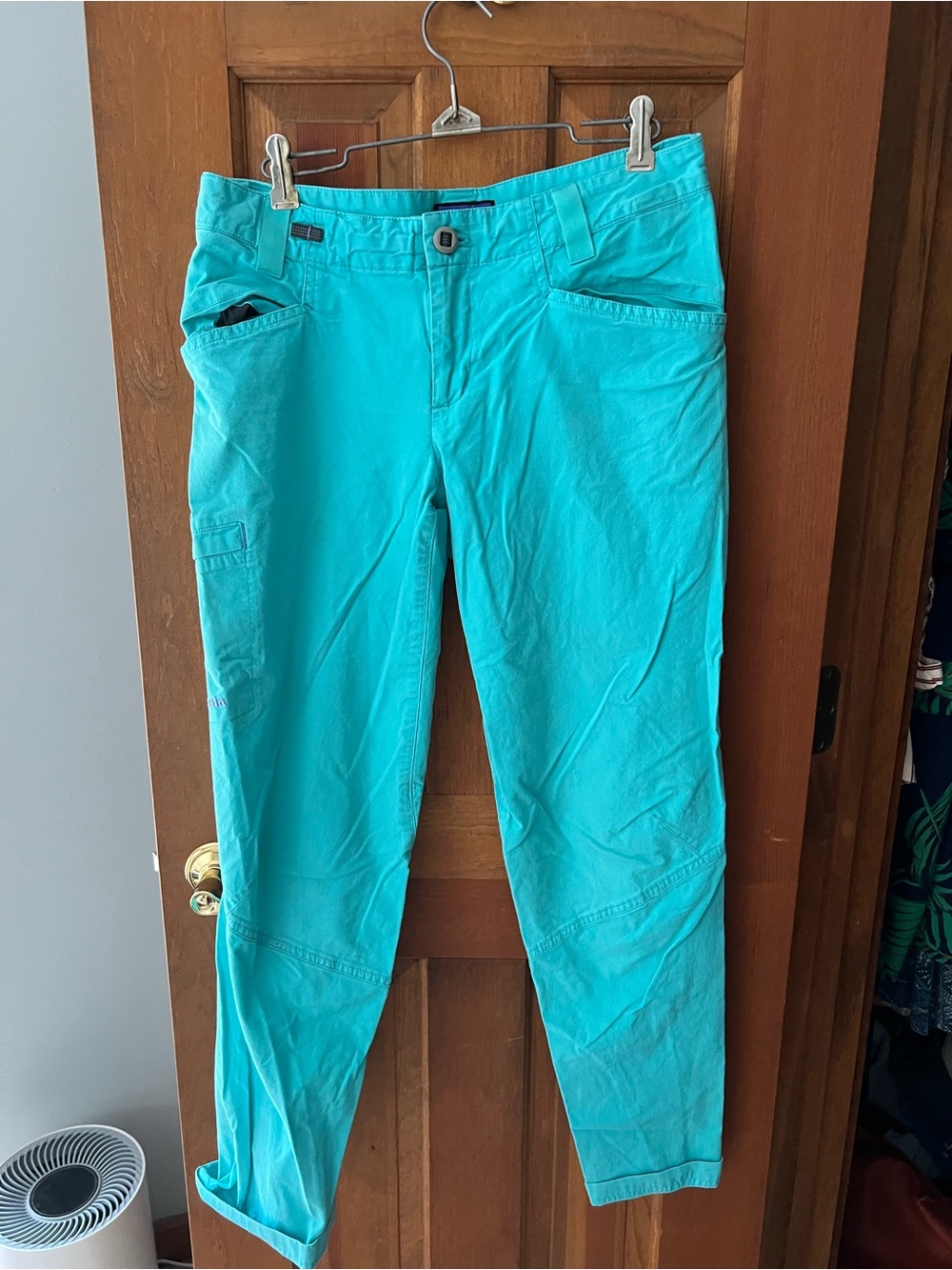 Patagonia Bright Teal Casual Cargo Pants